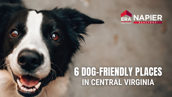 Dog Friendly Richmond